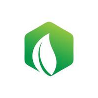diseño de logotipo de hoja verde hexagonal vector