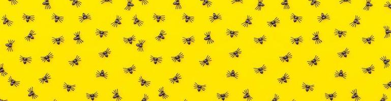 Halloween minimal decorations, composition with many black spiders isolated on yellow background. Halloween celebration trick or treat concept. Flat lay top view pattern. photo