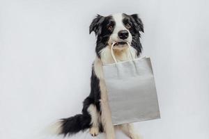 Puppy dog border collie holding shopping bag in mouth isolated on white background. Online or mall shopping shopaholic concept. Black friday Christmas season sale. Mock up. photo