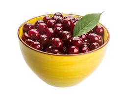 Cherry in a bowl on white background photo