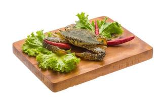 Raw crab on wooden board and white background photo