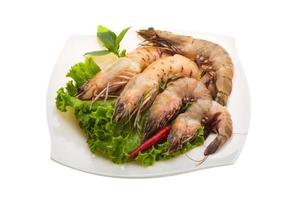 King Prawn on the plate and white background photo