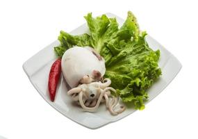 Boiled cuttlefish on the plate and white background photo