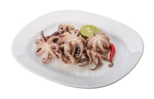 Boiled octopus on the plate and white background photo