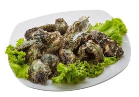 Oyster on the plate and white background photo