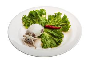 Boiled cuttlefish on the plate and white background photo