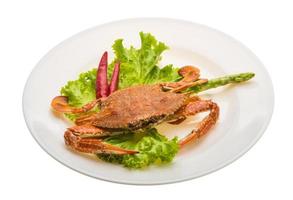 Boiled crab on the plate and white background photo