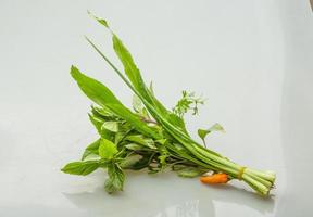 Asian herbs on white background photo