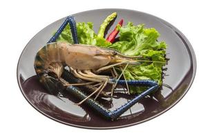 Freshwater prawn on the plate and white background photo