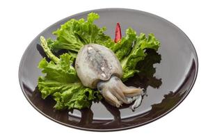 Raw cuttlefish on the plate and white background photo