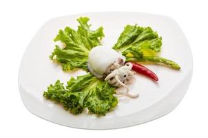 Boiled cuttlefish on the plate and white background photo