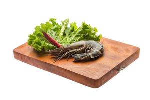 Tiger prawn on wooden board and white background photo