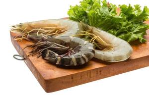 Tiger prawn on wooden board and white background photo