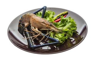 Freshwater prawn on the plate and white background photo