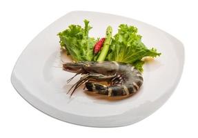 Tiger prawn on the plate and white background photo