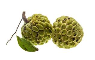 Noni fruit on white background photo