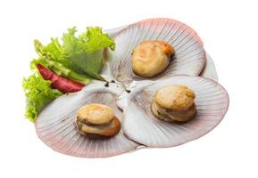 Grilled scallops on the plate and white background photo