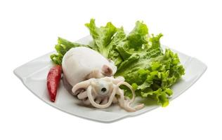 Boiled cuttlefish on the plate and white background photo