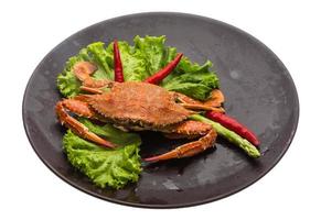 Boiled crab on the plate and white background photo
