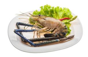 Freshwater prawn on the plate and white background photo