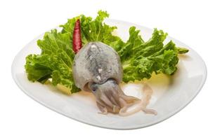 Raw cuttlefish on the plate and white background photo