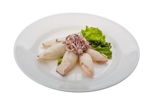 Boiled squid on the plate and white background photo