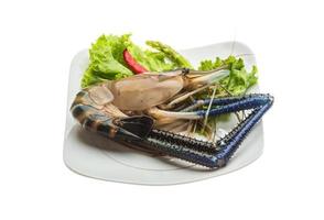Freshwater prawn on the plate and white background photo