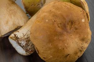 hongo boletus en el plato foto