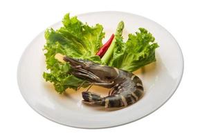 Tiger prawn on the plate and white background photo