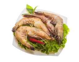 King Prawn on the plate and white background photo