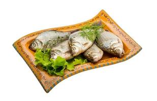 Crucian fish on the plate and white background photo