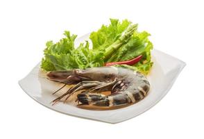 Tiger prawn on the plate and white background photo