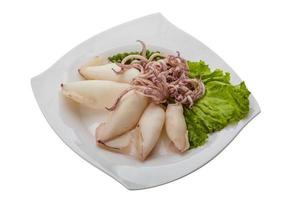 Boiled squid on the plate and white background photo