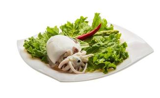 Boiled cuttlefish on the plate and white background photo