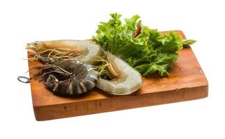 Tiger prawn on wooden board and white background photo