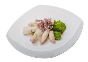 Boiled squid on the plate and white background photo