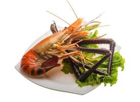 Giant Freshwater Prawn photo