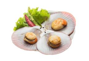 Grilled scallops on the plate and white background photo