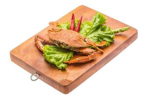 Boiled crab on wooden board and white background photo