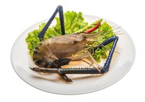 gambas de agua dulce en el plato y fondo blanco foto