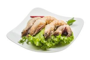 King Prawn on the plate and white background photo