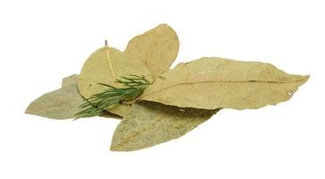 Laurel leaves heap photo