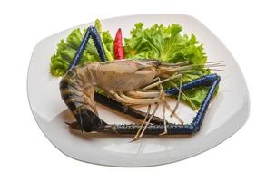 Freshwater prawn on the plate and white background photo