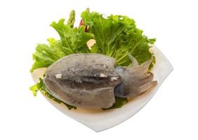 Raw cuttlefish on the plate and white background photo