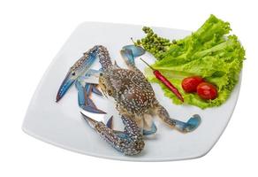 Raw blue crab on the plate and white background photo