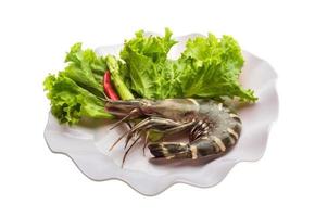 Tiger prawn on the plate and white background photo