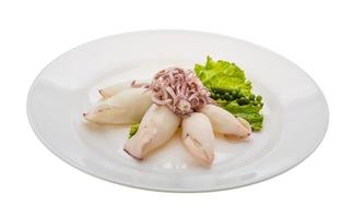 Boiled squid on the plate and white background photo