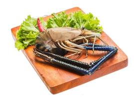 Freshwater prawn on wooden board and white background photo