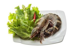 Tiger prawn on the plate and white background photo