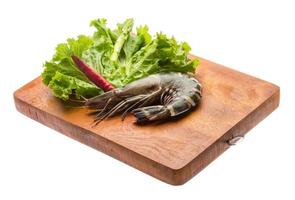 Tiger prawn on wooden board and white background photo